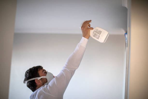 Best Best Mold Removal Companies  in South Patrick Shores, FL