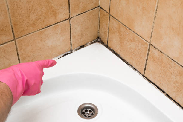 Best Emergency Mold Removal  in South Patrick Shores, FL